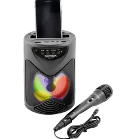 Bontempi Musikinstrumenter>Højtaler m. Mikrofon/Lys - 18 cm - Trådløs