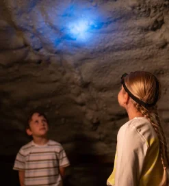 Bosch Mini Legeværktøj>Pandelampe - Legetøj - 6,5x4 cm - Grøn