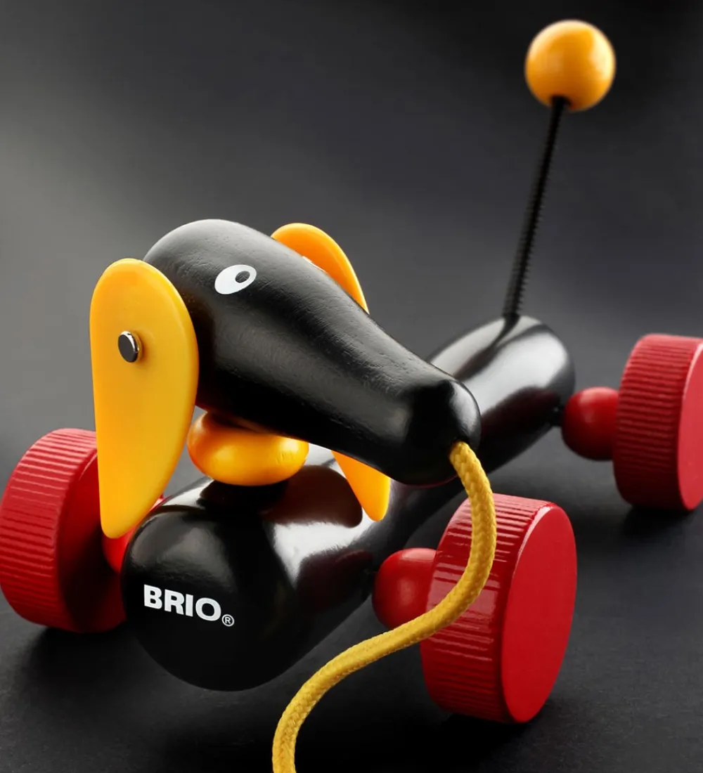 BRIO Brio>Toddler Træklegetøj - Gravhund - Dachshund 30332