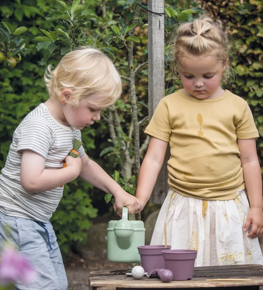 Dantoy Strandlegetøj>Plantesæt - Green Garden