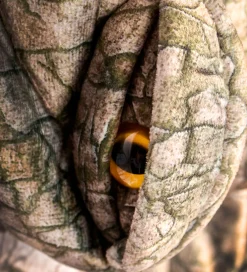 Den Goda Fen Rolleleg><noscript><img width=