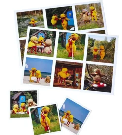 DR Spil>Billedlotteri - Bamse og Kylling - 6 Plader+36 Brikker