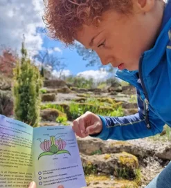 Dr Zigs Udeleg Og Udendørs Legetøj|Vandleg>Sæbeboblesæt - Bubble Pollinator Kit