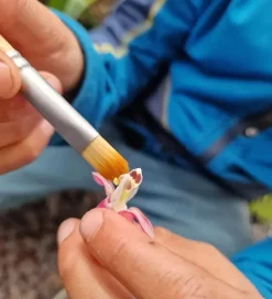 Dr Zigs Udeleg Og Udendørs Legetøj|Vandleg><noscript><img width=