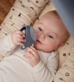 Filibabba Bideringe><noscript><img width=