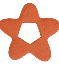 Filibabba Bideringe>Bidering - Stjerne - Rust