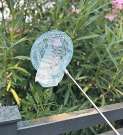 Follow the Duck Udeleg Og Udendørs Legetøj|Strandlegetøj><noscript><img width=