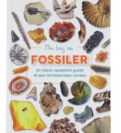 Forlaget Bolden Bøger>Bog - Min Bog Om Fossiler