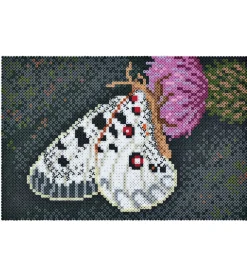 Hama Perler>Midi Art - 10.000 stk. - Sommerfugl
