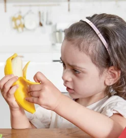 Hape Legemad><noscript><img width=