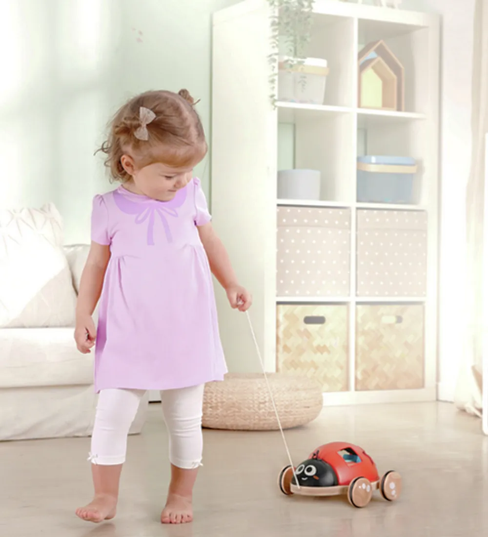 Hape Puttekasser>Træklegetøj - Mariehøne m. Klodser