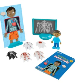 Learning Resources Babylegetøj|Aktivitetslegetøj>Aktivitetslegetøj - Lær Om Kroppen - 17 Dele