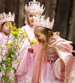 Liontouch Rolleleg><noscript><img width=