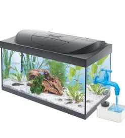 4M Kreasæt>- Green Science - Magisk Vandhane