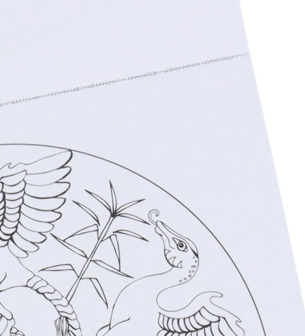Mandalas Malebog>Mini Malebog - Dinosaurer
