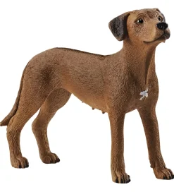 Schleich Schleich>Dyr - H:6 cm - Rhodesian Ridgeback 13895