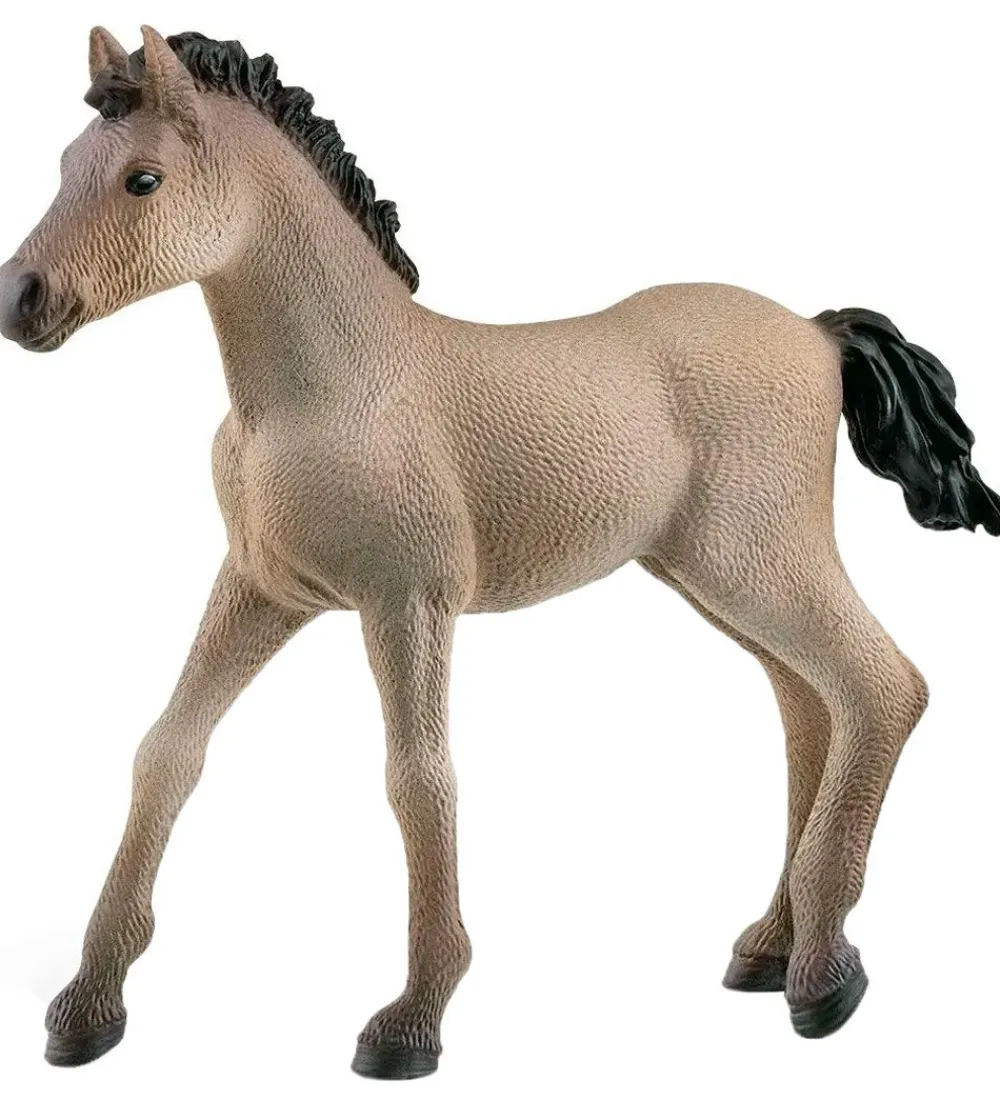 Schleich Schleich>Horse Club - Criollo Føl - H: 7,6 cm 13949