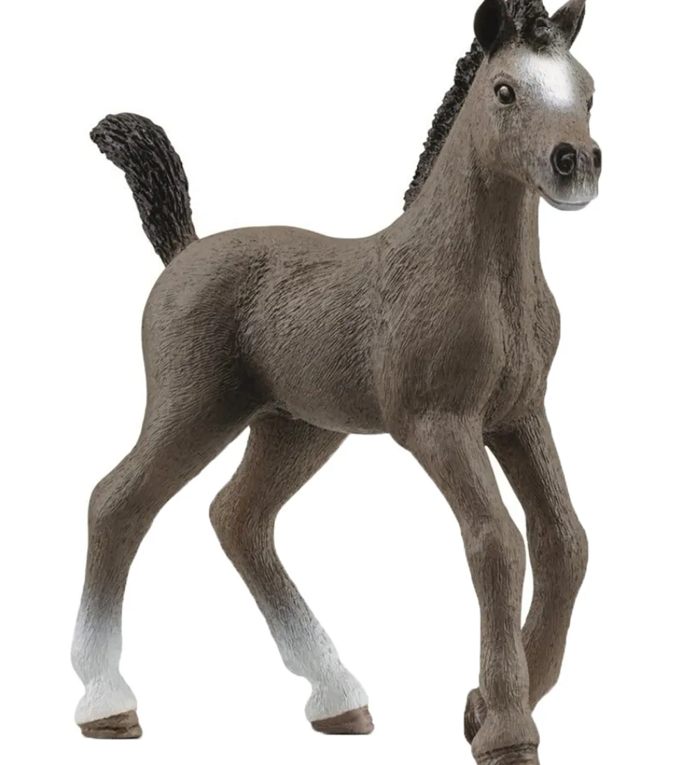 Schleich Schleich>Horse Club - Selle Français-føl - H: 8 cm - 13957