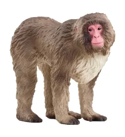 Schleich Schleich>Wild Life - Japansk Makak-abe - H: 6,9 cm - 14871