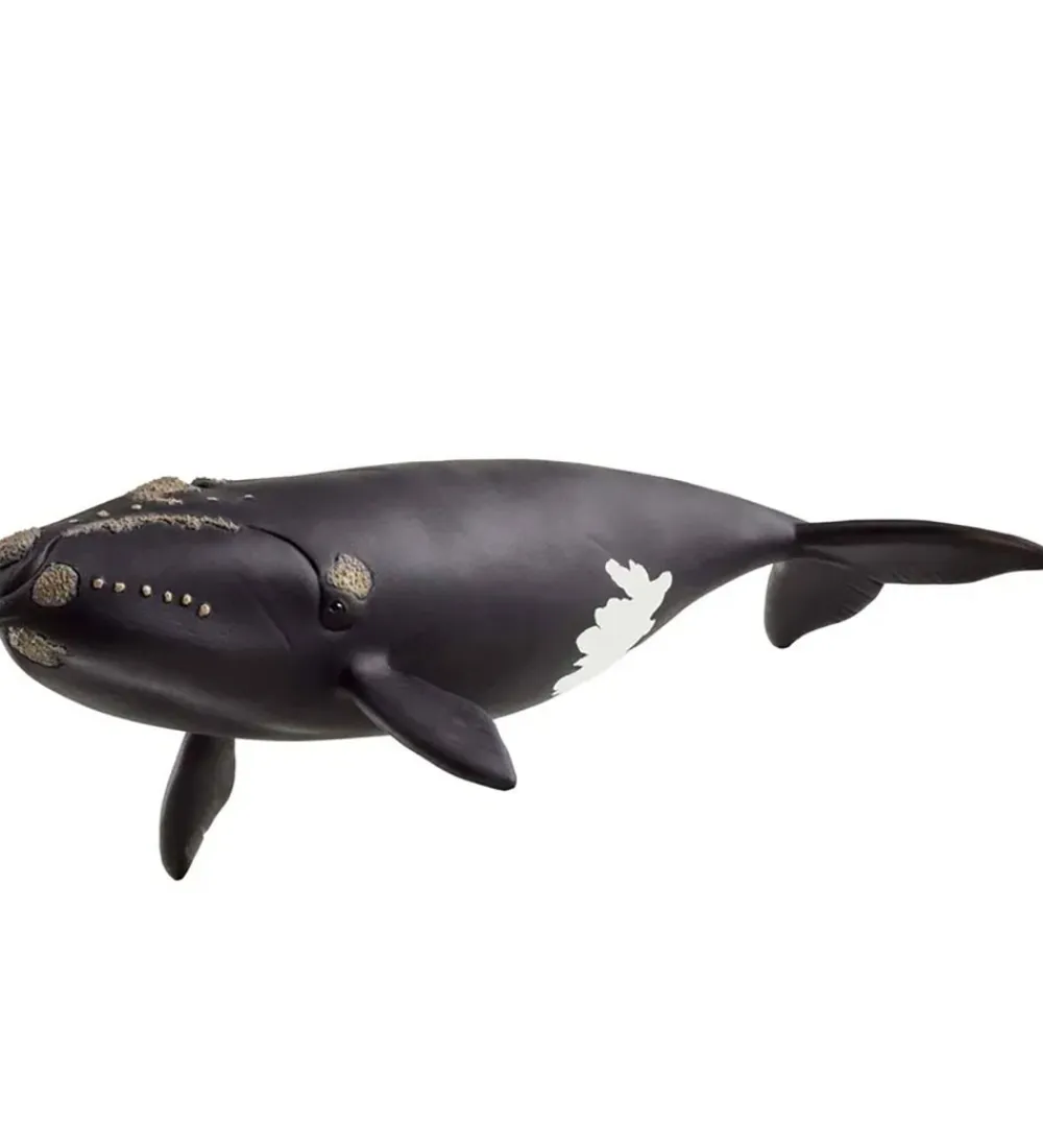 Schleich Figurer|Schleich>Wild Life - Nordkaper Hval - 19,5 cm - 14878