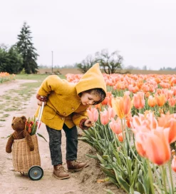 Senger Naturwelt Bamser>Bamse - Stor - Bjørn - Brun