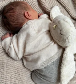 Senger Naturwelt Bamser><noscript><img width=