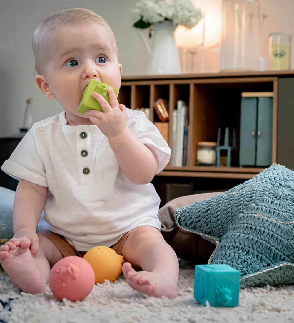 Sophie la Girafe Bolde>Sanselegetøj - So Pure - Multifarvet