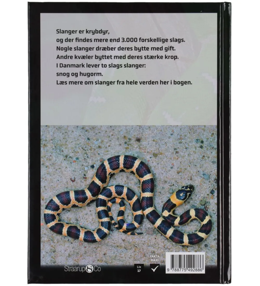 Straarup & Co Spil>Sampak - Spil & Læs - Slanger