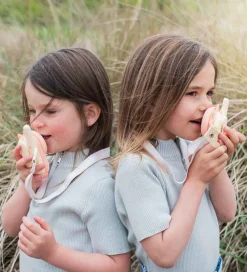 The Zoofamily Walkie Talkies><noscript><img width=