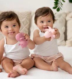 Tikiri Bideringe><noscript><img width=