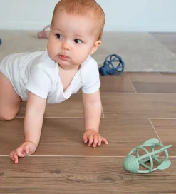 Tiny Tot Bideringe><noscript><img width=